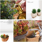 Sprinkler Bottle Stainless Steel Watering Can,Upgrade Mini Plant Spray Mister 10oz300ml Watering Pot for Outdoor Indoor Gardening Plant Silver,Gold Color Sprinkling can(Silver) - Image 6