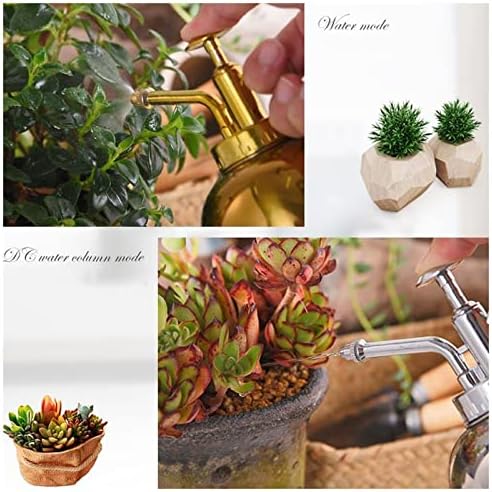 Sprinkler Bottle Stainless Steel Watering Can,Upgrade Mini Plant Spray Mister 10oz300ml Watering Pot for Outdoor Indoor Gardening Plant Silver,Gold Color Sprinkling can(Gold) - Image 6