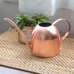 Ml Stainless Steel Watering Can with Long Mouth, Ergonomic Handle - Image 5