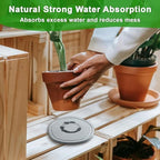 6 8 10 Inch 6 Pack Diatomite Plant Saucers for Indoors, Plant Drip Tray - Image 4