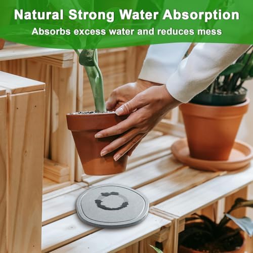 6 8 10 Inch 6 Pack Diatomite Plant Saucers for Indoors, Plant Drip Tray - Image 4