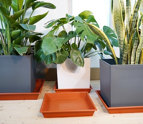 NIMYAU Square Plant Saucer 14 Inch 2 Pack 6 8 10 12 14 16 18 20 Inch, Plant Trays for Pots Heavy Duty Plastic Plant Saucers for Indoors Outdoors, Flower Pot No Holes Plant Drip Trays - Image 4