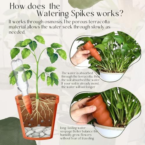 Baderke 6 Sets Plant Watering Stake Devices Include Terracotta Self Watering Spikes and 500 ml Plastic Wine Bottles for Vacation Indoor Outdoor Plant - Image 5