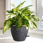 WSMKSZ 12/10/9 inch Self Watering Pots for Indoor Outdoor Plants, Set of 3 - Image 6