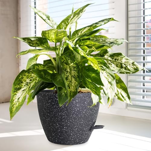 WSMKSZ 12/10/9 inch Self Watering Pots for Indoor Outdoor Plants, Set of 3 - Image 6