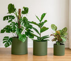 D'vine Dev 3-Pack Plastic Pots & Saucers, 8/10/12 in, Olive, 74-V-I-5 - Image 5