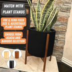 Fox & Fern Large Planter for Indoor or Outdoor, Black Matte, 12 Inch - Image 7