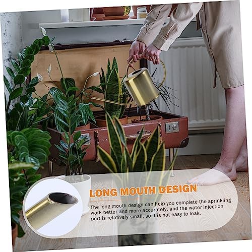 BESPORTBLE Ergonomic Handle Stainless Steel Kettle Leakproof Garden Watering Can Long Spout - Image 3