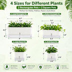 Planterhoma Self Watering Plant Pots for Indoor Plants 4.3 inch, 6 Packs Square Self-Watering Planters with Drainage Hole, White African Violet Pots for Devil's Ivy, Spider Plant, Orchid, Herb - Image 4