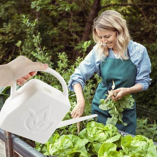 2l Plastic Gardening Watering Can with Long Spout and Handle - Image 6