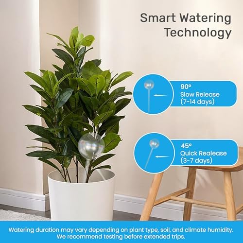 Plant Watering Globes 6 Pack – Self Watering Bulbs, Whole-Home Medium Set - Image 4