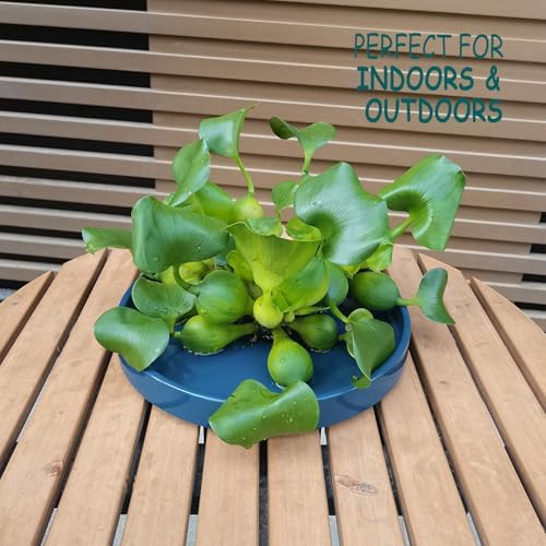 Ceramic Plant Saucer Pot Tray 10 Inch, Blue Planter Saucers 5 7 9 10 12 Inch for Indoors Outdoor, Flower Pot Saucers for Holding Water Drips and Soil - Image 2