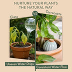 Modern Sprout Terracotta Self-Watering Bulbs, 10oz - Sage - 2Pk - Image 6
