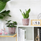 Gepege Ceramic Plant Pots, 6 Inch Indoor Planters with Drainage & Saucers - Image 4
