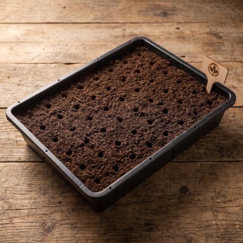 SEWACC 2 Set Seed Starter Tray Thickened Black Plastic with Drainage Holes - Image 4