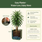 15 Inch Self-Watering Planter for Indoor Plants – Large Modern Plant Pot with Built-In Water Reservoir, Ideal for Monstera, Fiddle Leaf Fig, Palms & Peace Lily, Without Trellis (2, Sage Green) - Image 7