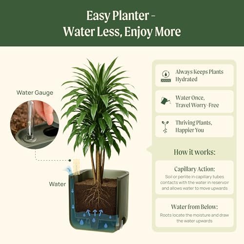 15 Inch Self-Watering Planter for Indoor Plants – Large Modern Plant Pot with Built-In Water Reservoir, Ideal for Monstera, Fiddle Leaf Fig, Palms & Peace Lily, Without Trellis (2, Cream White) - Image 7