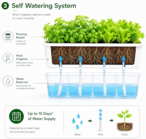 FAMZ Self Watering Pots for Indoor Plants, 3 Pack 17-Inch Long Rectangular Planter Boxes with Clear Reservoir for Herbs, Vegetables, Flowers and Succulents, White - Image 6