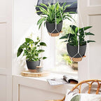 Vanslogreen 41.5 Inch Macrame Plant Hanger Indoor Outdoor with 12 Inch Flower Pot, Hanging Planter for Plants Holder with Wood Beads for Boho Home Decor (Ivory+Black) - Image 6