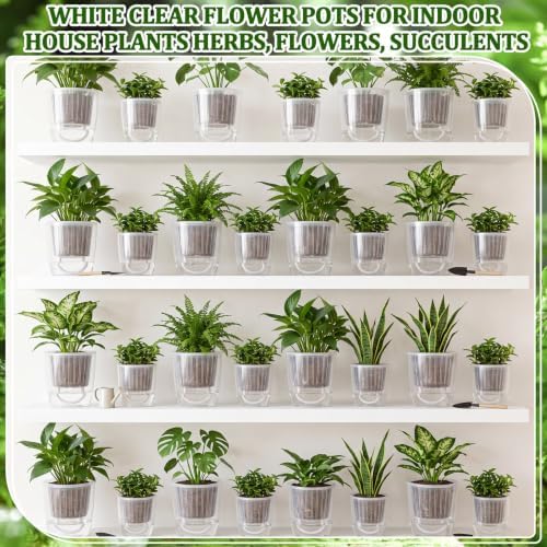 Self Watering Plant Pots, 3.5''/4.3'', Transparent, 36 Pcs - Image 6