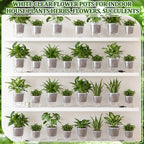 Self Watering Plant Pots, 3.5''/4.3'', Transparent, 36 Pcs - Image 6