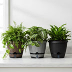 Sun-E 10" Self-Watering Whiskey Barrel Planters 3 Pack for Indoor Outdoor - Image 5