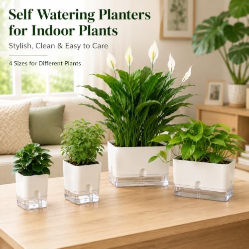 Planterhoma Self Watering Plant Pots for Indoor Plants 7 inch, 4 Packs Rectangle Self-Watering Planters with Drainage Hole, White African Violet Pots for Devil's Ivy, Spider Plant, Orchid, Herb - Image 2