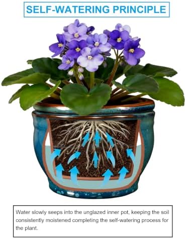 Self Watering Pot for African Violets Indoor Outdoor Plants, 6 inch, Teal - Image 5