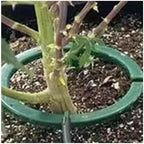 Circular Drip Watering Ring for Indoor Outdoor Potted Plants - Image 4