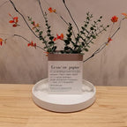 Plant Pot Saucer - 10 Inch Plant Saucer for Indoors and Outdoor Ceramic Plant Tray for Indoors Large Plant Drip Trays Round Flower Pot Saucer Plant Dishes to Catch Water,Frosted White - Image 5