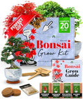 HOME GROWN Bonsai Tree Starter Kit, 4 Varieties, Indoor Gardening Gift Set by HOMEGROWN