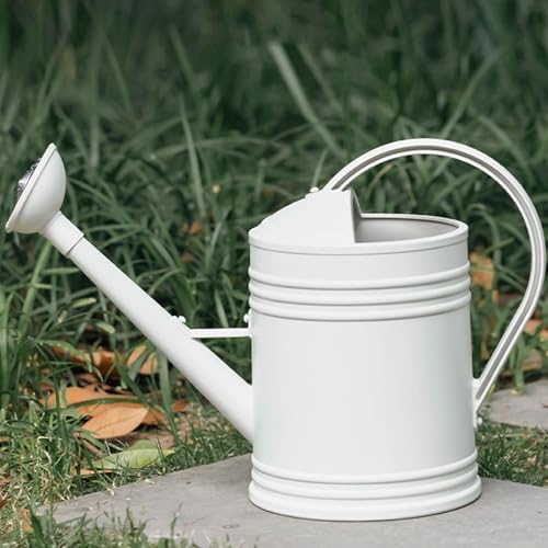2L/4L Polyethylene Watering Can with Ergonomic Handle & Long Spout for Indoor/Outdoor Grasses Garden Flower Care Watering Can for Houseplant and Garden - Image 2