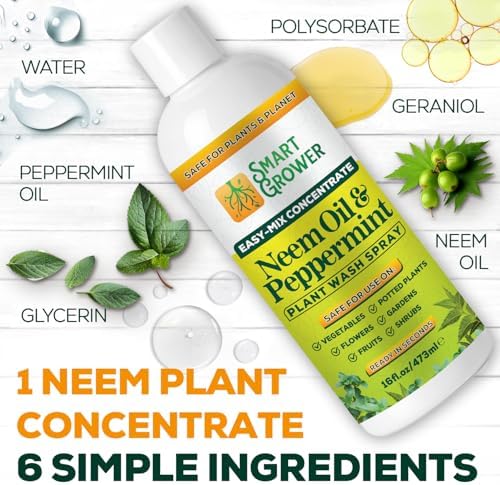 Neem Oil Spray for Plants with Peppermint Oil. Indoor & Outdoor Plant Use - Image 5