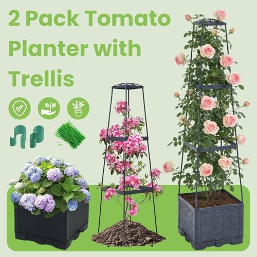 2 Pack Raised Garden Bed Tomato Planter with Trellis - 45" Self Watering Planters Box with Trapezoidal Trellis for Climbing Plants Vegetables Flowers - Tomato Cages for Greenhouse Indoor Outdoor - Image 2