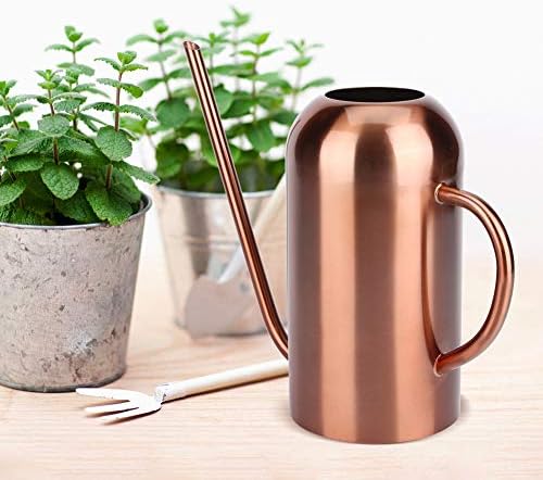 Stainless Steel Watering Can with Long Spout for Indoor Plants by Unknown