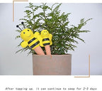 4Pcs Plant Waterer Watering Ceramic Spikes for Houseplant - Image 5