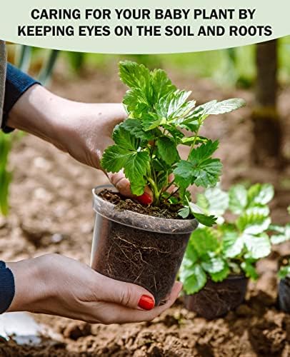 homenote 5 Inch Clear Nursery Pots with Drainage Holes for Plants (30 Pcs) - Image 4