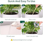 Soilagua Rainbow Plant Watering Globes, Extra-Thick Glass, 6 Pack - Image 7