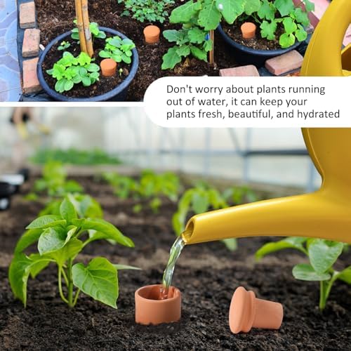 10*6in Ollas Clay Watering Pot with lid Terra Cotta Clay Irrigation Plant Watering Globes with Top Storage Pool Plant Corms for Irrigating Pots Plant Enthusiasts Terracotta Watering Spikes - Image 5