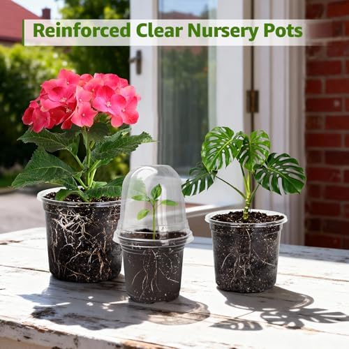 MIXC Clear Nursery Pots with Drainage Holes, 8/6/5/4/3.5 Inch 20 Pack - Image 7