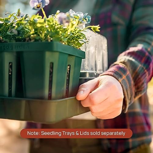 Vego garden Bottom Watering Trays Plant Growing Trays for Seedlings, 10" x 20" Seedling Trays, 8 Pack - Image 3
