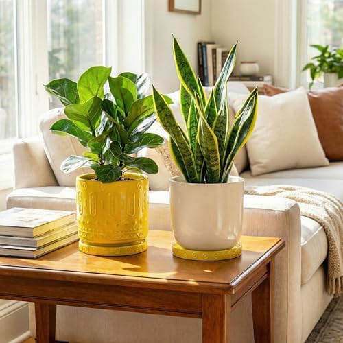 Eightpot Plant Water Catcher Tray 7.5 Inch, 2 Pack Ceramic Plant Saucers for Indoors Outdoors, Round Plants Plates to Catch Water, Modern Decorative Plants Dishes to Catch Water, Yellow - Image 4