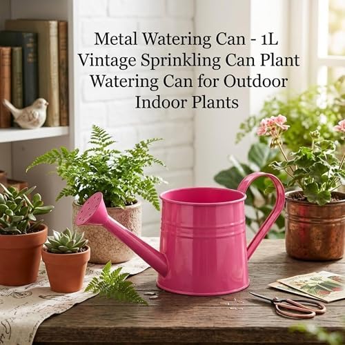 Watering Can Metal, Indoor Plant Watering Can with Long Spout (A2PCS) - Image 3