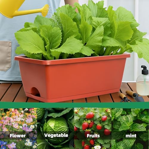 LOCONHA 12 Pack Window Box Planter, Plastic Vegetable Flower Planters Boxes - Image 2