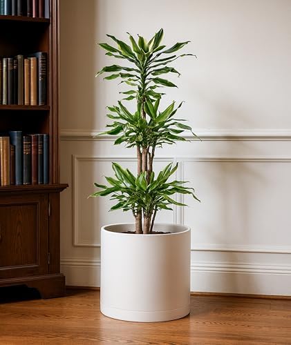 D'vine Dev Plastic Planter Pot with Saucer, 12 in, Oatmeal, 74-X-H-3 - Image 2