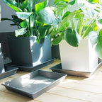 NIMYAU Square Plant Saucer 18 Inch 2 Pack, Large Plant Trays for Pots Heavy Duty Gray Plastic Plant Saucers for Indoors Outdoors, Flower Pot Plant Drip Trays No Holes Plant Lover Gardening Gifts - Image 4