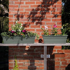Bloem Dura Cotta 24" Plastic Window Box Planter with Saucer, Basil, 3-Pack - Image 2