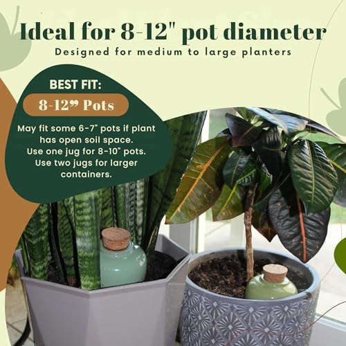 Terracotta Self Watering Planter Insert - Set of 4 Clay Ollas with Slim Bottom for Easy Soil Insertion, Glazed Top, Slow-Release Plant Watering System for Indoor & Outdoor Plants - Image 5
