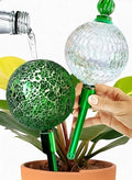 16 Oz 2 pcs Plant Watering Globes for Indoor Plants with Metal Self Watering Planter Insert - Premium XL Glass Hand-blown Globes - Automatic Plant Waterer Indoor, Gift For Gardeners [Mosaic & Crystal] by GARDENBRO
