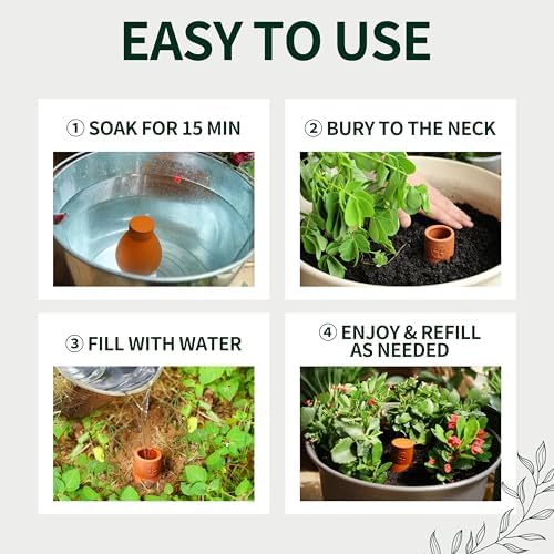 Soilagua 16 oz Olla Plant Watering Globes, Terracotta Watering Pots System, Self Watering Planter Insert for Outdoor & Indoor Plants, Vacation Plant Watering Devices Spikes Waterer, 4 Pack - Image 5